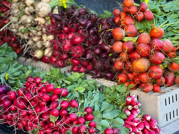 les équipements à avoir pour de délicieux jus de fruits frais